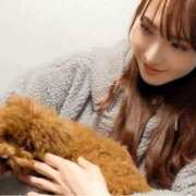 ヒメ日記 2026/01/11 15:00 投稿 森川すみれ ローテンブルク