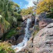 ヒメ日記 2026/02/18 12:26 投稿 森川すみれ ローテンブルク