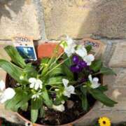 ヒメ日記 2026/03/29 14:30 投稿 森川すみれ ローテンブルク