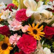 ヒメ日記 2026/04/02 19:15 投稿 森川すみれ ローテンブルク