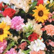 ヒメ日記 2026/04/16 18:42 投稿 森川すみれ ローテンブルク