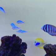 ヒメ日記 2026/04/22 16:01 投稿 森川すみれ ローテンブルク