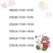 ヒメ日記 2026/07/29 14:01 投稿 森川すみれ ローテンブルク