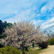 ヒメ日記 2024/02/19 15:46 投稿 早乙女りえ ローテンブルク