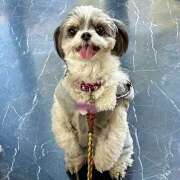 ヒメ日記 2024/12/11 16:57 投稿 早乙女りえ ローテンブルク