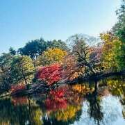 ヒメ日記 2024/12/13 19:00 投稿 早乙女りえ ローテンブルク