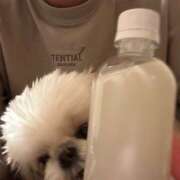 ヒメ日記 2025/01/16 21:43 投稿 早乙女りえ ローテンブルク