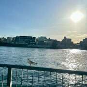 ヒメ日記 2025/02/15 10:23 投稿 早乙女りえ ローテンブルク