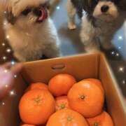 ヒメ日記 2025/02/20 21:24 投稿 早乙女りえ ローテンブルク