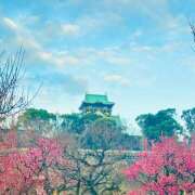 ヒメ日記 2025/02/25 07:40 投稿 早乙女りえ ローテンブルク