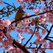 ヒメ日記 2025/02/26 14:24 投稿 早乙女りえ ローテンブルク