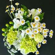 ヒメ日記 2025/03/01 08:24 投稿 早乙女りえ ローテンブルク