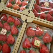 ヒメ日記 2025/03/03 10:23 投稿 早乙女りえ ローテンブルク