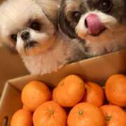 ヒメ日記 2025/03/03 11:02 投稿 早乙女りえ ローテンブルク