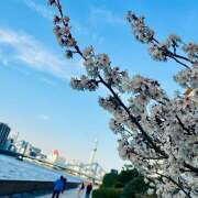 ヒメ日記 2025/03/10 21:55 投稿 早乙女りえ ローテンブルク