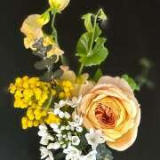 ヒメ日記 2025/03/13 23:48 投稿 早乙女りえ ローテンブルク