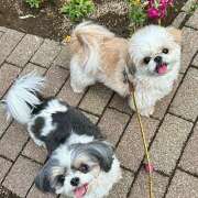 ヒメ日記 2025/03/20 13:22 投稿 早乙女りえ ローテンブルク