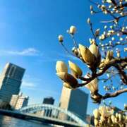 ヒメ日記 2025/03/20 21:27 投稿 早乙女りえ ローテンブルク