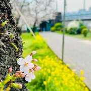 ヒメ日記 2025/03/27 18:42 投稿 早乙女りえ ローテンブルク