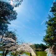 ヒメ日記 2025/03/31 11:08 投稿 早乙女りえ ローテンブルク