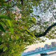 ヒメ日記 2025/04/17 22:13 投稿 早乙女りえ ローテンブルク