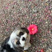 ヒメ日記 2025/04/26 05:48 投稿 早乙女りえ ローテンブルク