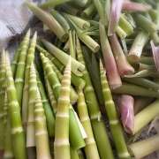 ヒメ日記 2025/05/03 13:33 投稿 早乙女りえ ローテンブルク