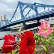 ヒメ日記 2025/05/29 21:23 投稿 早乙女りえ ローテンブルク