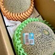 ヒメ日記 2025/06/15 08:29 投稿 早乙女りえ ローテンブルク