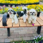 ヒメ日記 2025/06/16 20:27 投稿 早乙女りえ ローテンブルク