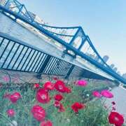 ヒメ日記 2025/06/18 06:21 投稿 早乙女りえ ローテンブルク