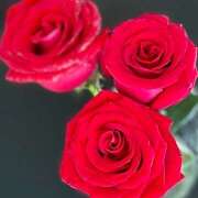 ヒメ日記 2025/07/01 05:16 投稿 早乙女りえ ローテンブルク