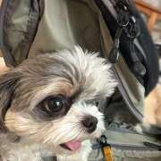 ヒメ日記 2025/07/28 04:21 投稿 早乙女りえ ローテンブルク