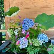 ヒメ日記 2025/08/03 12:36 投稿 早乙女りえ ローテンブルク