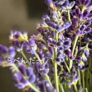 ヒメ日記 2025/08/23 12:33 投稿 早乙女りえ ローテンブルク