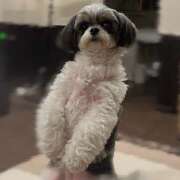 ヒメ日記 2025/08/29 09:20 投稿 早乙女りえ ローテンブルク