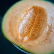 ヒメ日記 2025/09/19 16:56 投稿 早乙女りえ ローテンブルク