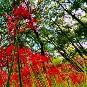 ヒメ日記 2025/09/22 15:53 投稿 早乙女りえ ローテンブルク