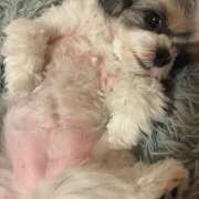 ヒメ日記 2025/09/23 06:58 投稿 早乙女りえ ローテンブルク