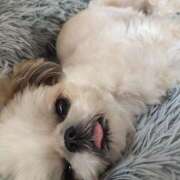 ヒメ日記 2025/09/29 23:13 投稿 早乙女りえ ローテンブルク