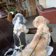 ヒメ日記 2025/09/30 22:24 投稿 早乙女りえ ローテンブルク