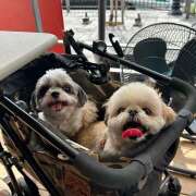 ヒメ日記 2025/10/05 13:01 投稿 早乙女りえ ローテンブルク