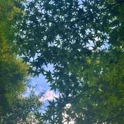 ヒメ日記 2025/10/07 08:25 投稿 早乙女りえ ローテンブルク