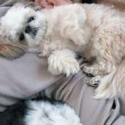 ヒメ日記 2025/10/25 23:09 投稿 早乙女りえ ローテンブルク