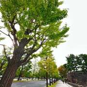 ヒメ日記 2025/10/29 15:56 投稿 早乙女りえ ローテンブルク