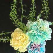 ヒメ日記 2025/11/01 09:14 投稿 早乙女りえ ローテンブルク