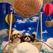 ヒメ日記 2025/11/02 09:46 投稿 早乙女りえ ローテンブルク