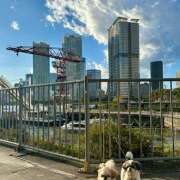 ヒメ日記 2025/11/10 21:20 投稿 早乙女りえ ローテンブルク