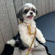 ヒメ日記 2025/11/12 17:27 投稿 早乙女りえ ローテンブルク