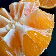 ヒメ日記 2025/11/18 12:28 投稿 早乙女りえ ローテンブルク